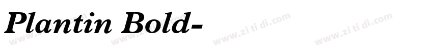 Plantin Bold字体转换